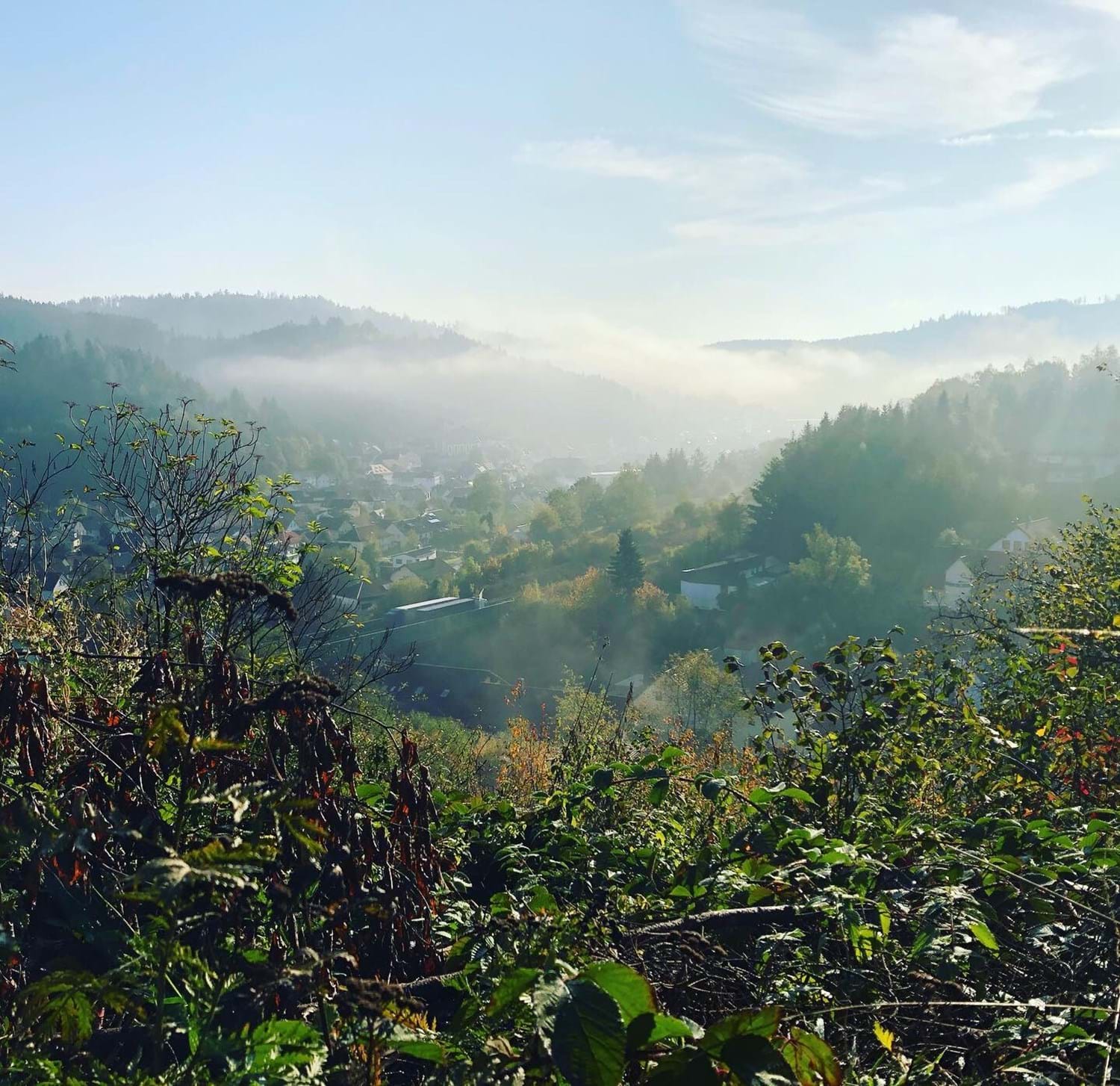 FreizeitTipps Touristinformation Wallenfels