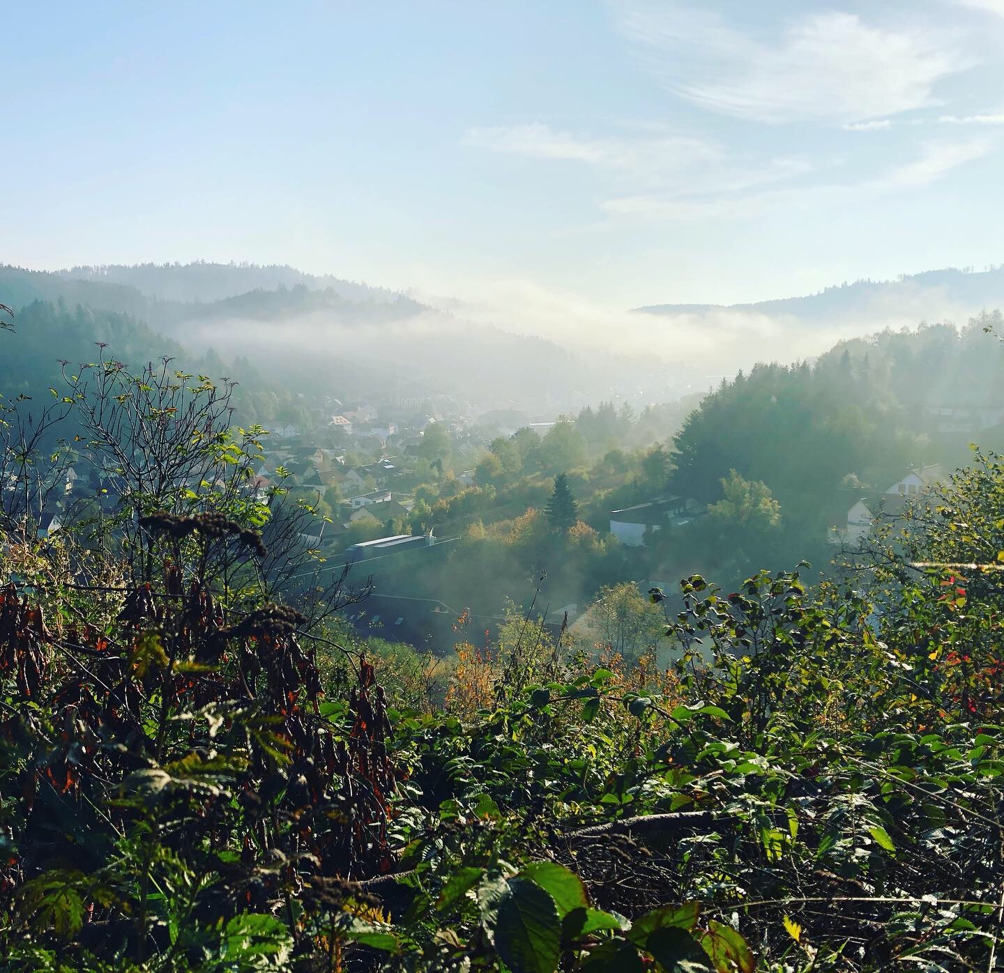 Blick auf Wallenfels.jpg