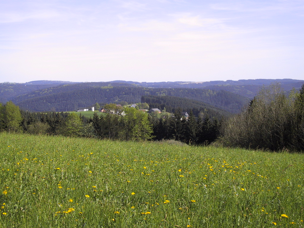 Wellesberg Blick auf2.JPG